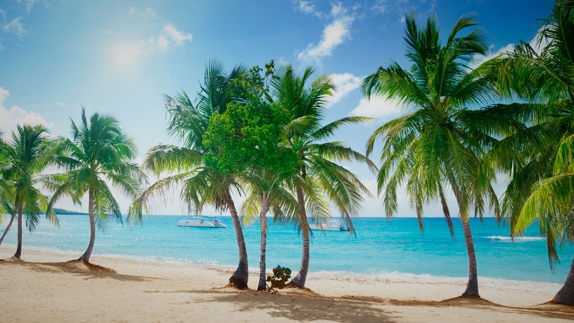 https://www.centraldevacaciones.pt/viajes/assets/upload/d2264.jpg