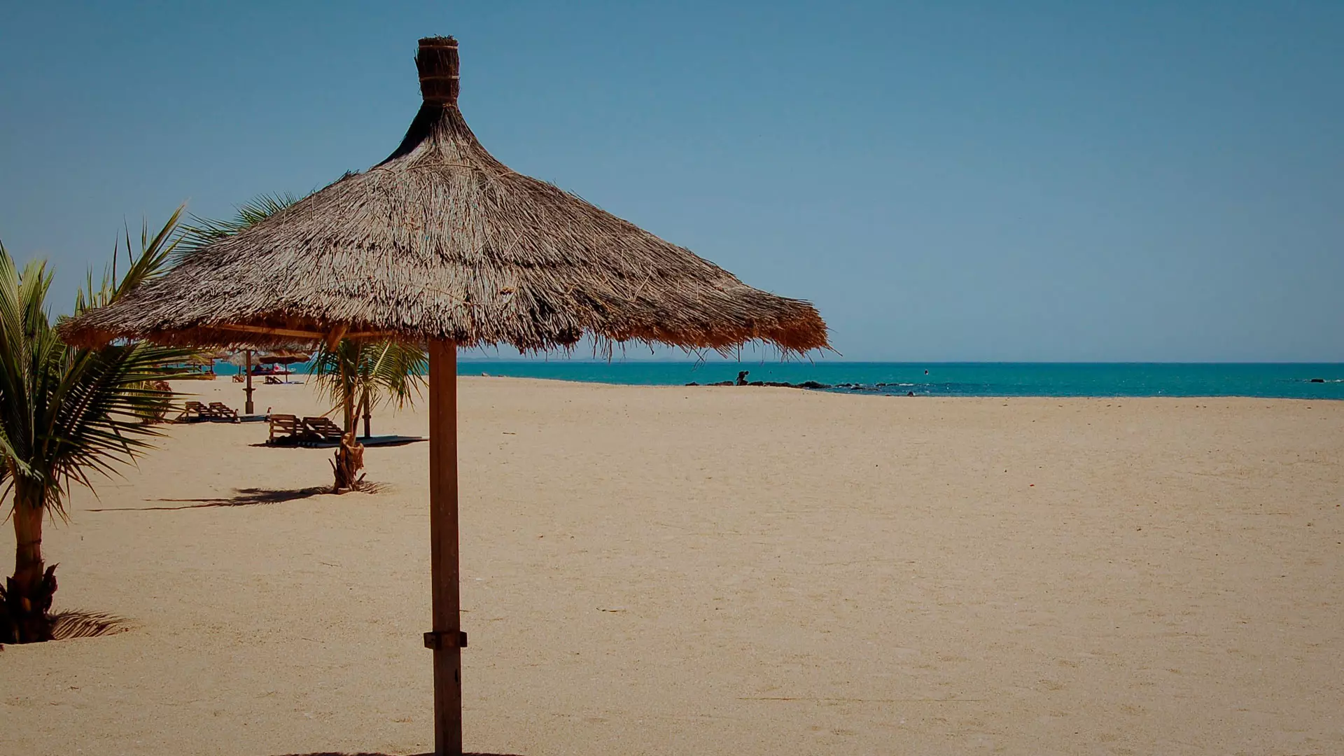 https://www.centraldevacaciones.pt/viajes/assets/upload/d2489.webp