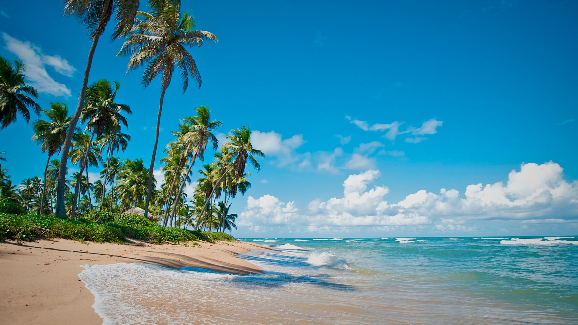 https://www.centraldevacaciones.pt/viajes/assets/upload/d3679.jpg